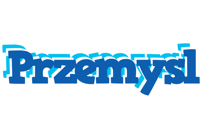 Przemysl business logo