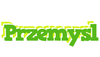 Przemysl picnic logo