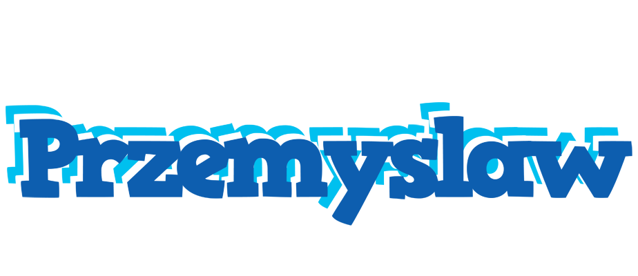 Przemyslaw business logo