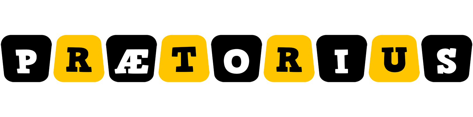 Prætorius boots logo
