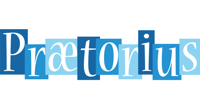 Prætorius winter logo