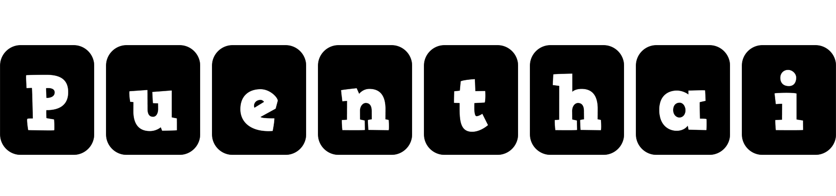 Puenthai box logo