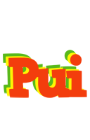 Pui bbq logo