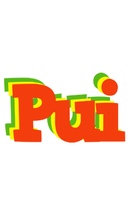 Pui bbq logo