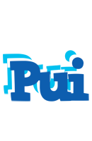 Pui business logo