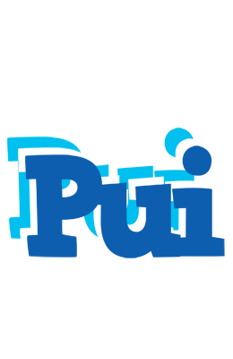 Pui business logo