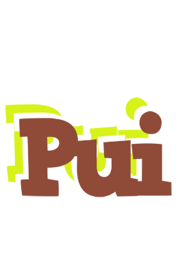 Pui caffeebar logo