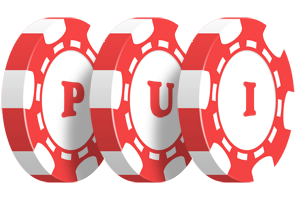 Pui chip logo