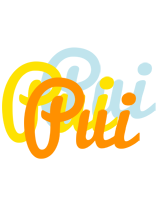 Pui energy logo