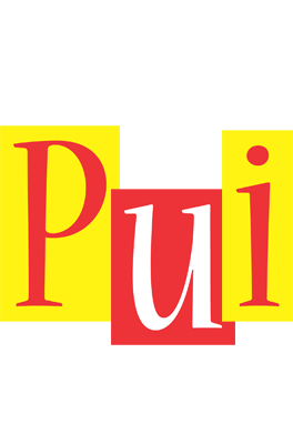 Pui errors logo