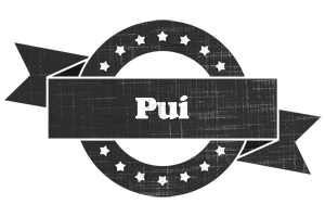 Pui grunge logo