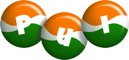 Pui india logo