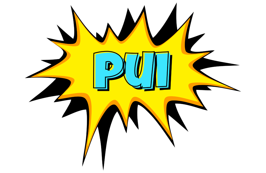 Pui indycar logo