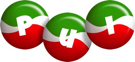 Pui italy logo