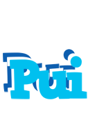 Pui jacuzzi logo