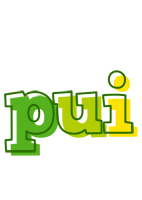 Pui juice logo