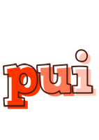 Pui paint logo