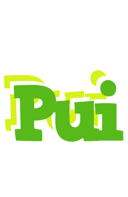 Pui picnic logo