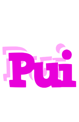 Pui rumba logo