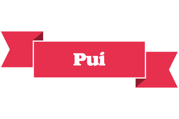 Pui sale logo