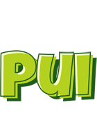 Pui summer logo