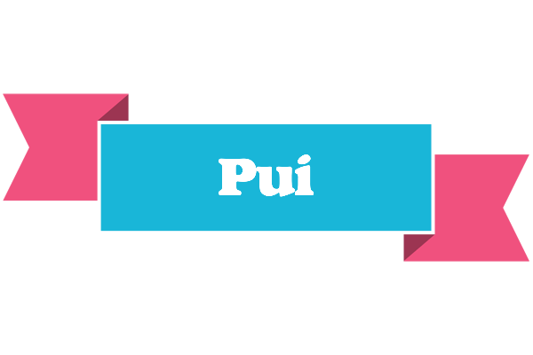 Pui today logo