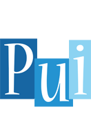 Pui winter logo