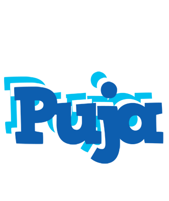 Puja business logo