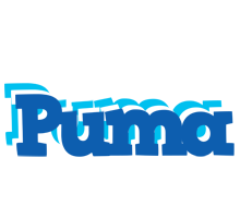 Puma business logo