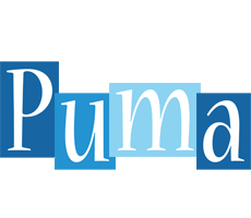 Puma winter logo