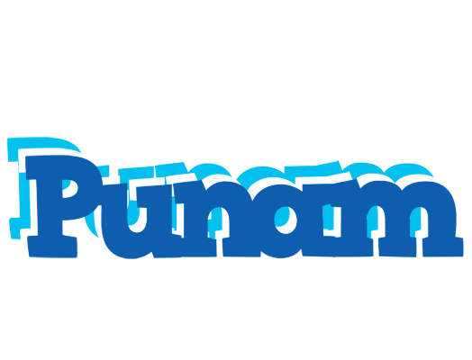 Punam business logo