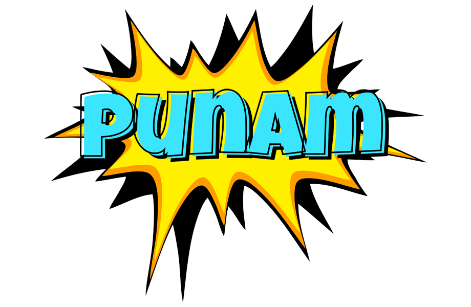 Punam indycar logo
