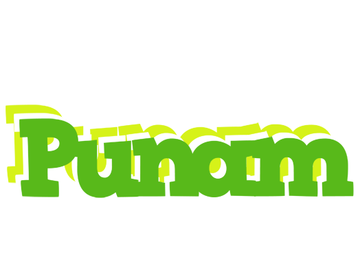 Punam picnic logo