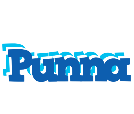 Punna business logo
