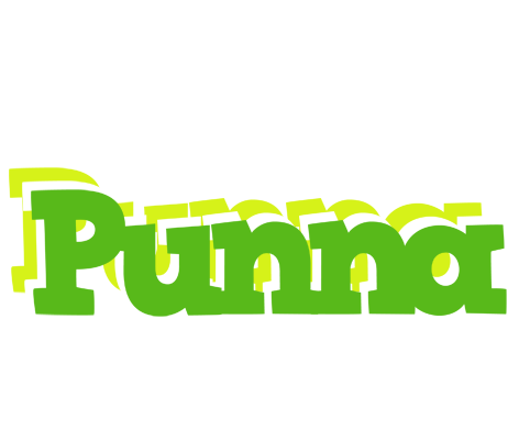 Punna picnic logo