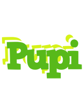 Pupi picnic logo