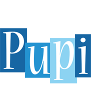Pupi winter logo