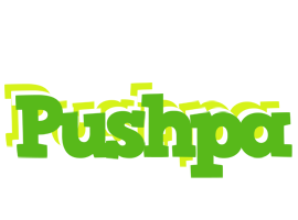 Pushpa picnic logo