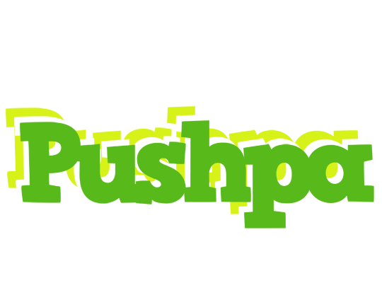 Pushpa picnic logo