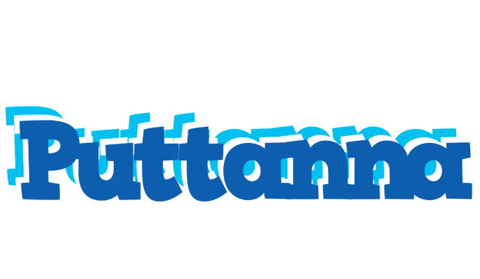 Puttanna business logo