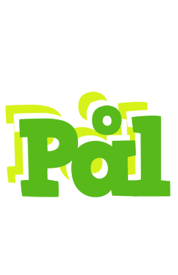 Pål picnic logo