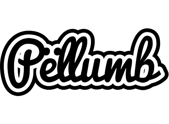 Pëllumb chess logo