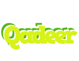 Qadeer citrus logo