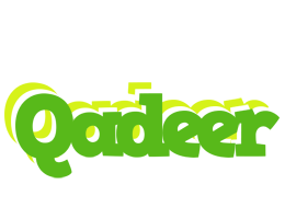 Qadeer picnic logo