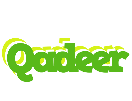Qadeer picnic logo