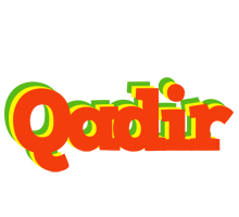 Qadir bbq logo