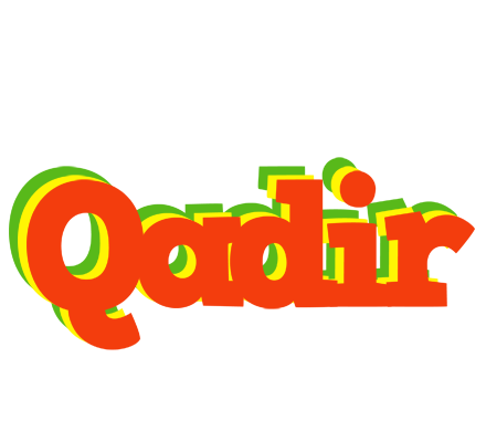 Qadir bbq logo