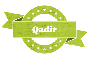 Qadir change logo