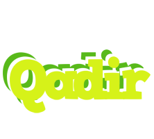 Qadir citrus logo