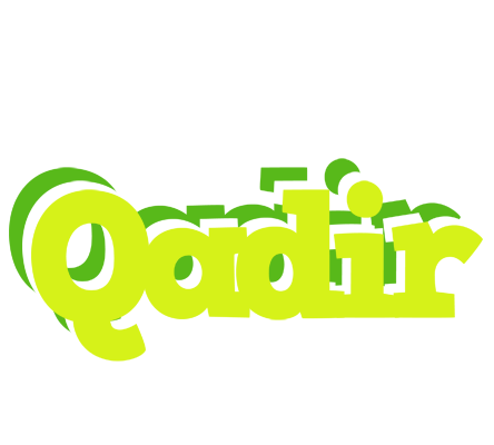 Qadir citrus logo
